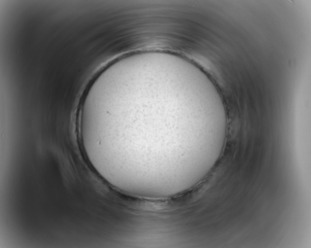 X0000088701086200706141426