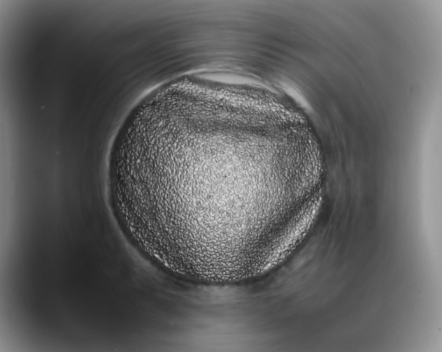 X0000088701087200706141426