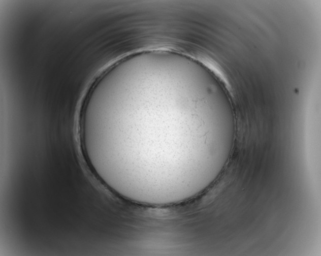 X0000088701088200706141426