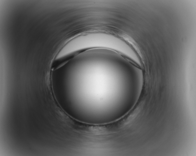 X0000088701089200706141426
