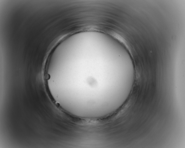 X0000088701090200706141426