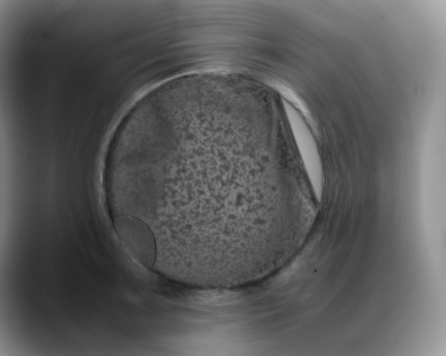 X0000088701091200706141426