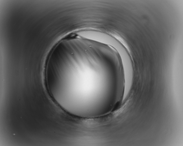 X0000088701093200706141426