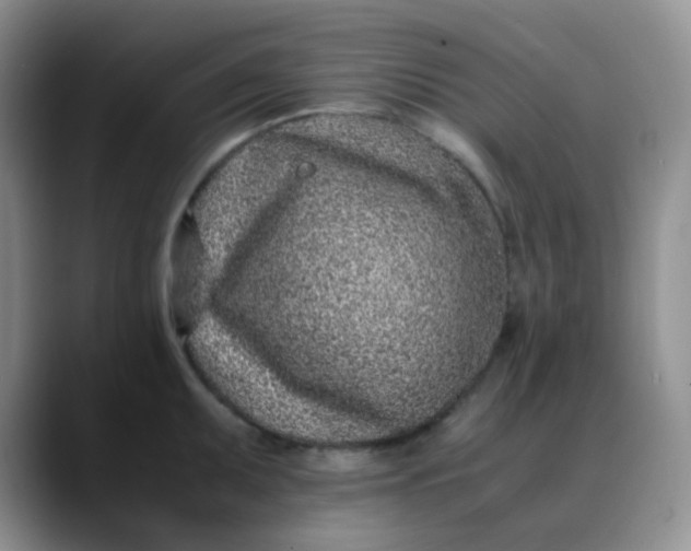 X0000088701095200706141426
