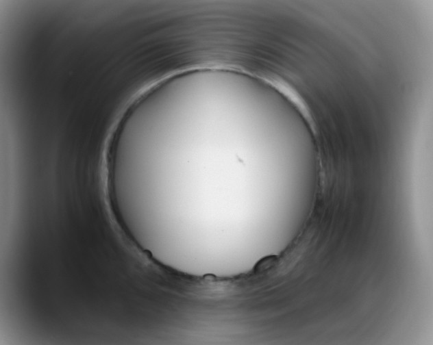 X0000088701096200706141426
