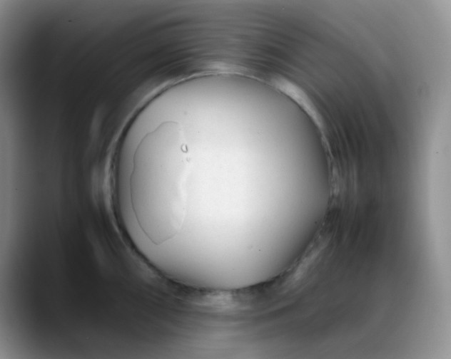 X0000088701098200706141426