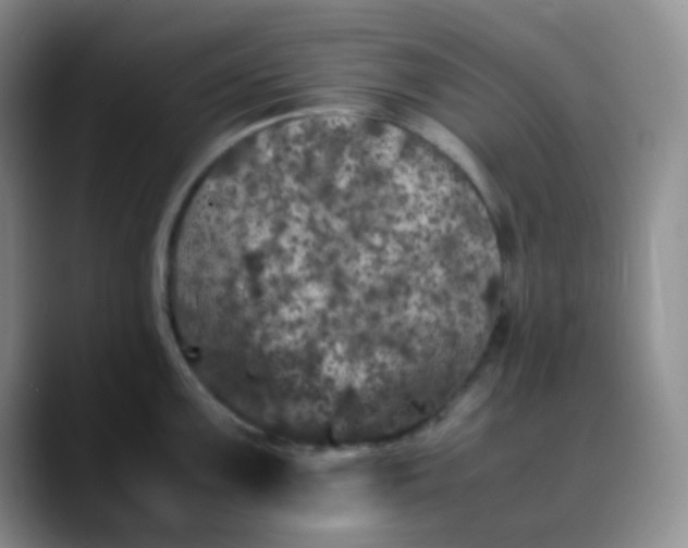 X0000088701099200706141426