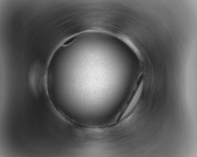 X0000088701100200706141426