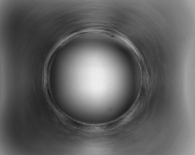 X0000088701101200706141426