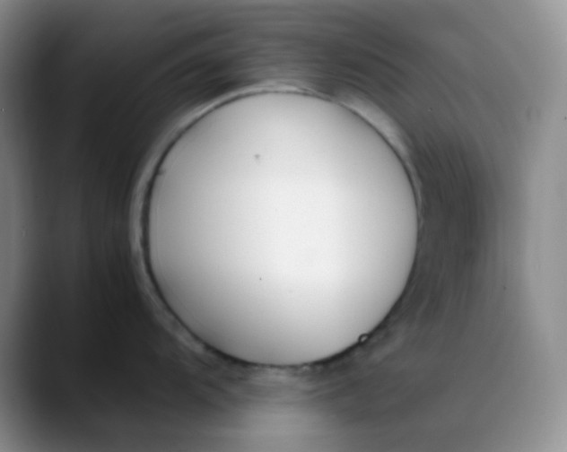 X0000088701104200706141425