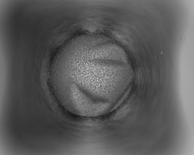 X0000088701105200706141425