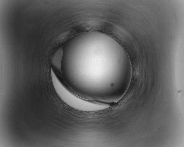X0000088701108200706141425