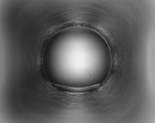 X0000088701110200706141425