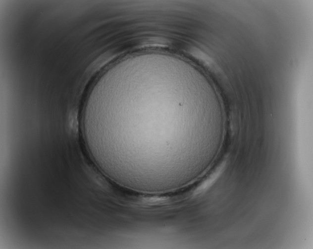 X0000088701113200706141425