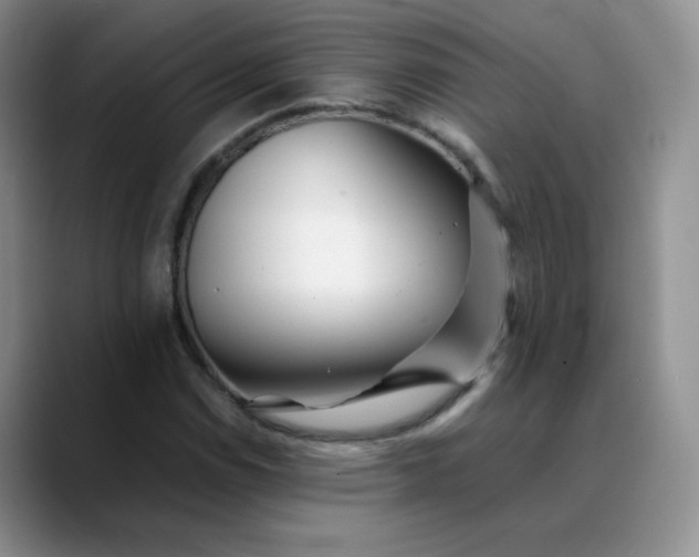 X0000088701114200706141425