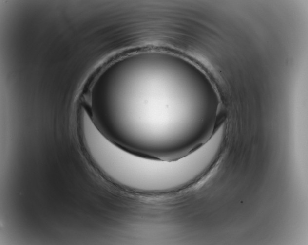 X0000088701118200706141425