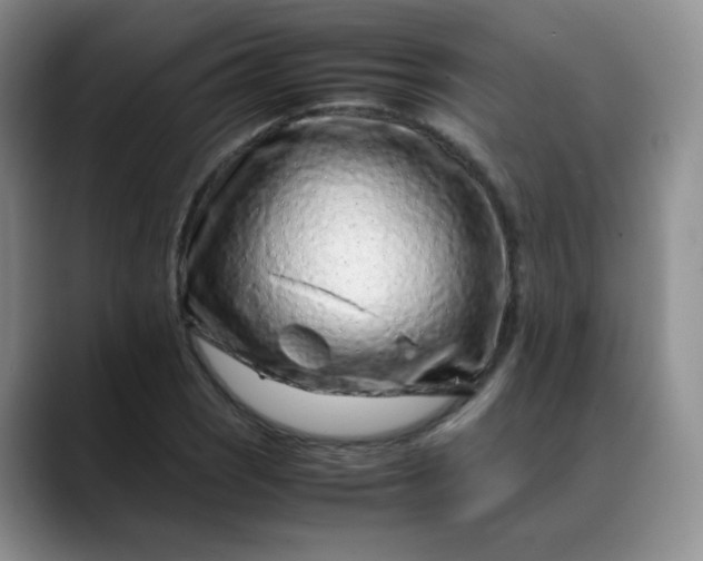 X0000088701121200706141425