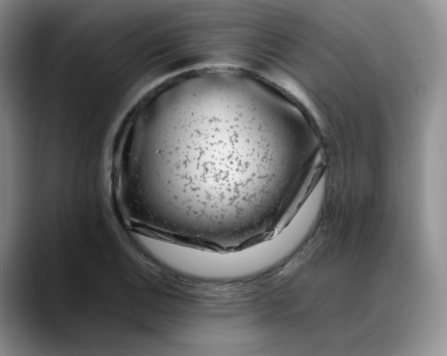 X0000088701124200706141425