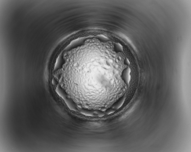X0000088701125200706141425
