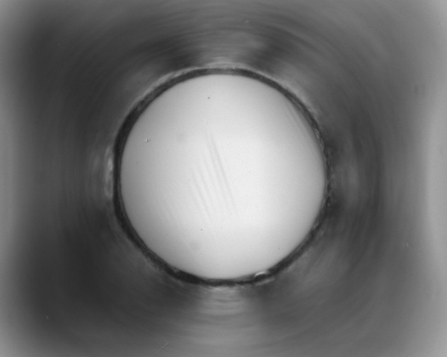 X0000088701126200706141425