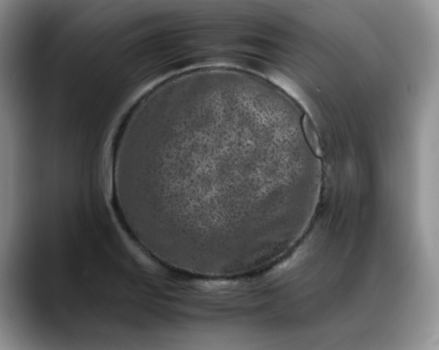 X0000088701127200706141425