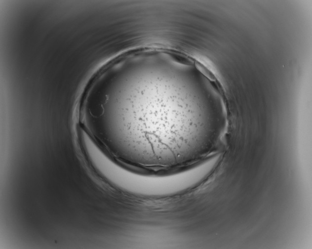 X0000088701128200706141425
