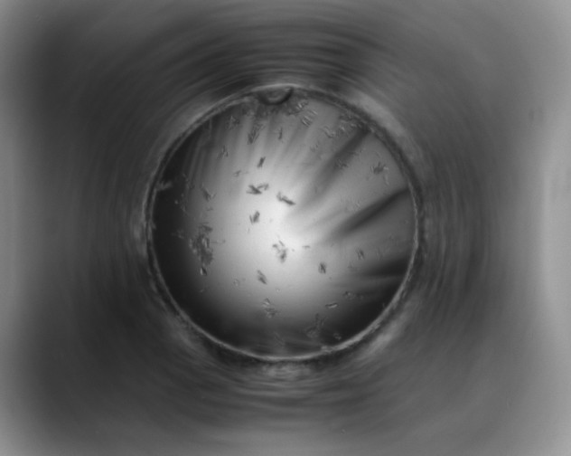 X0000088701129200706141425