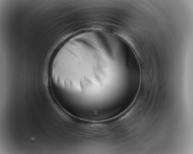 X0000088701131200706141425