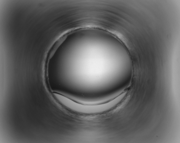 X0000088701134200706141425