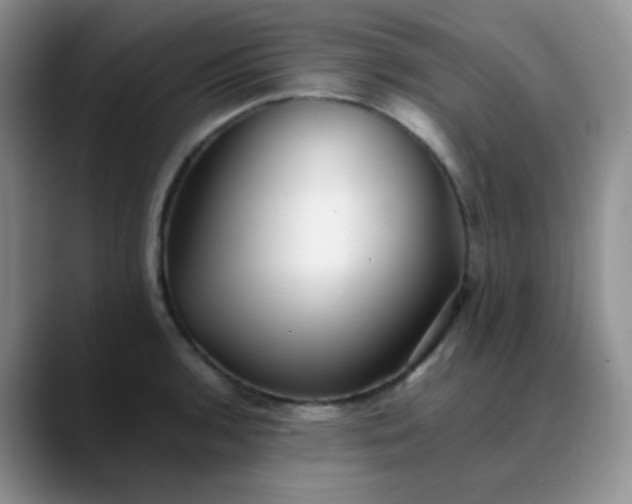 X0000088701136200706141425