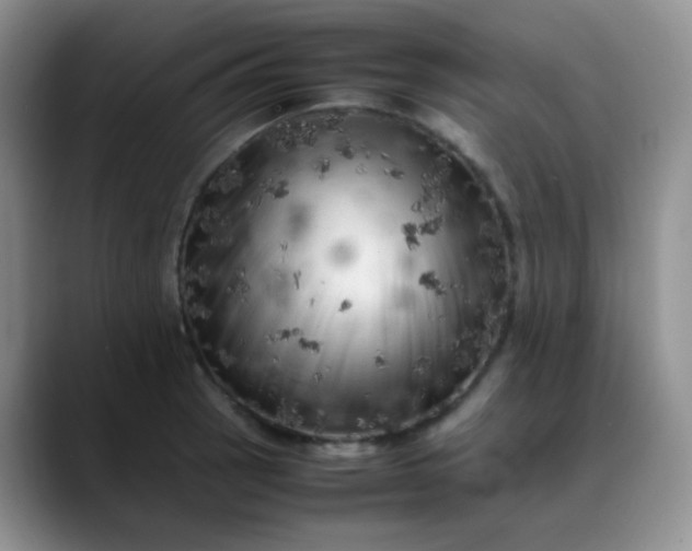 X0000088701137200706141425