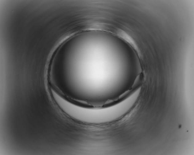 X0000088701138200706141425