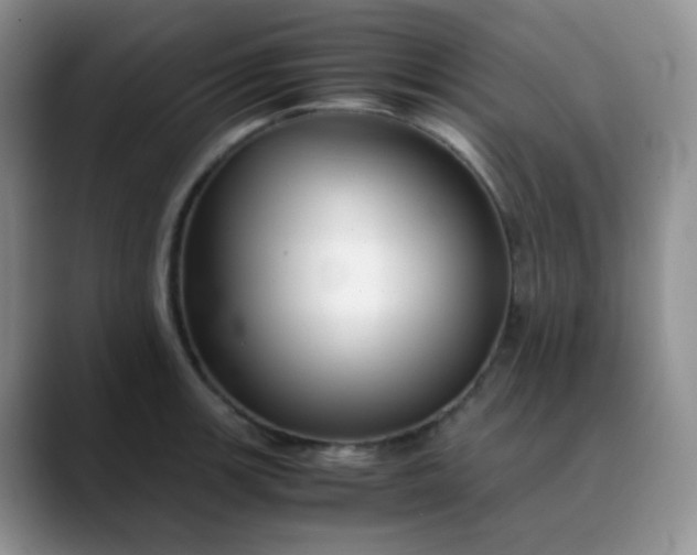 X0000088701139200706141425