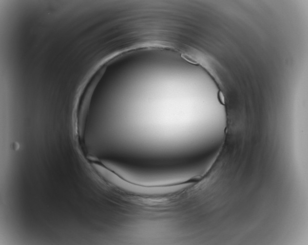 X0000088701140200706141425