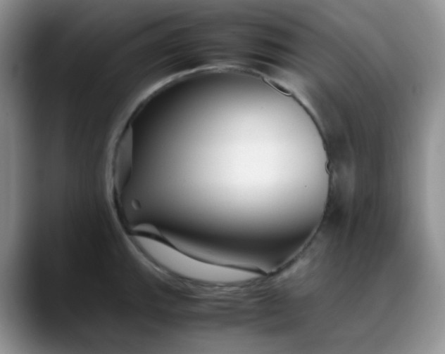 X0000088701143200706141425