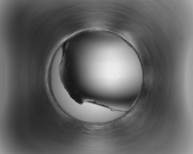 X0000088701144200706141425