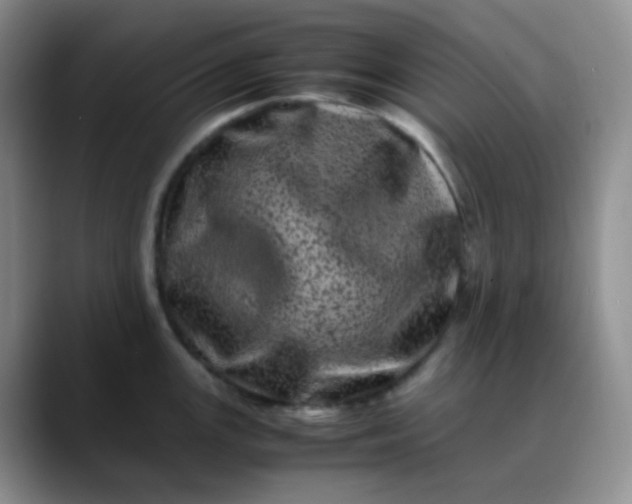 X0000088701147200706141425