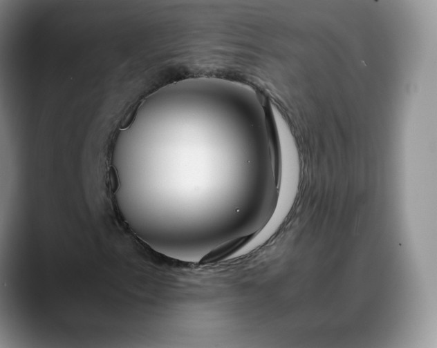 X0000088701153200706141425