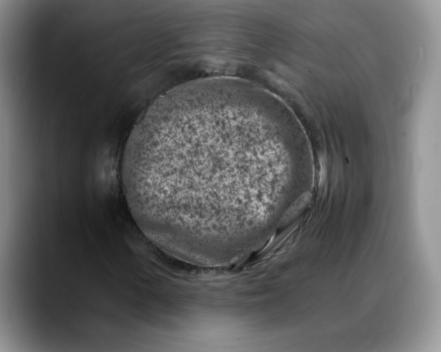 X0000088701154200706141425
