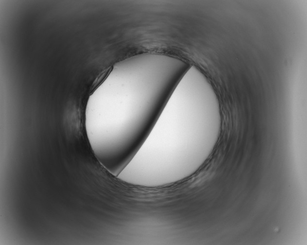 X0000088701156200706141425