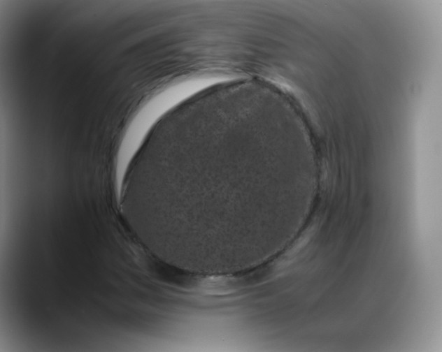 X0000088701161200706141425
