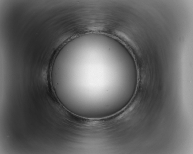 X0000088701162200706141425