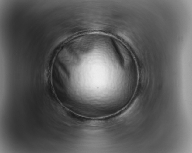 X0000088701163200706141425