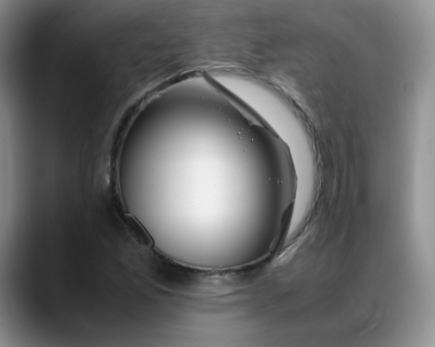 X0000088701165200706141425