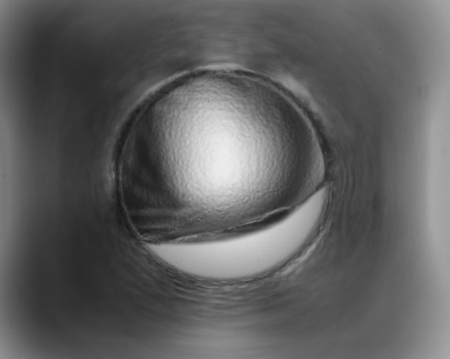 X0000088701167200706141425
