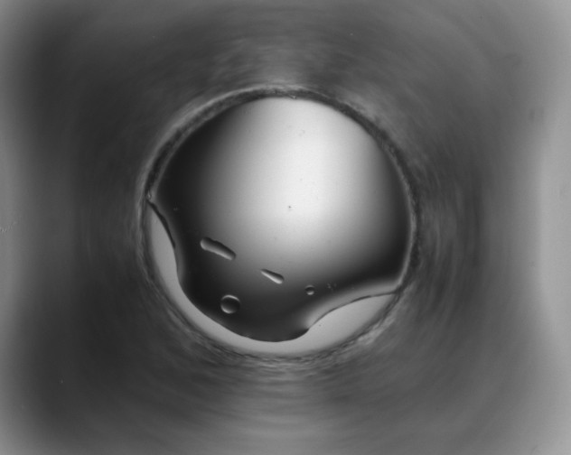 X0000088701168200706141425
