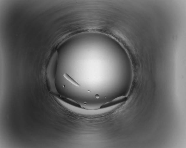 X0000088701169200706141425