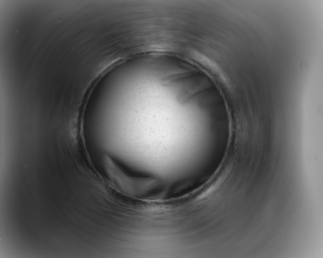 X0000088701170200706141425