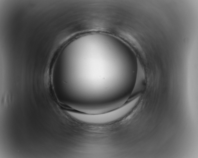 X0000088701172200706141425