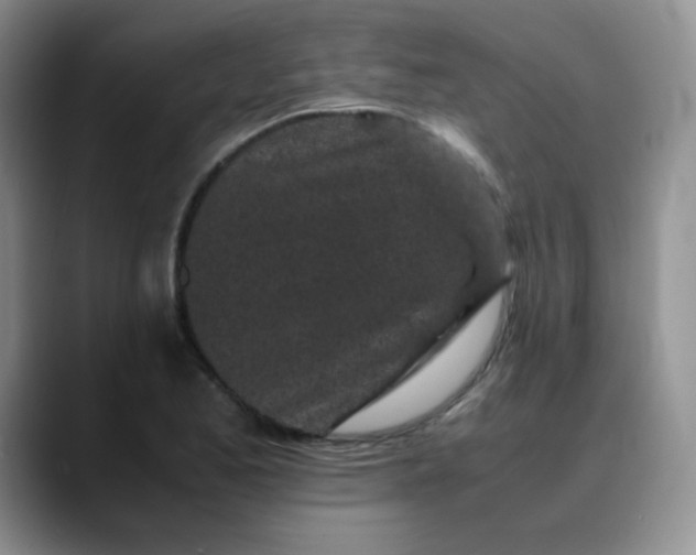 X0000088701173200706141425
